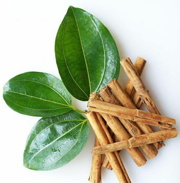 The Sri Lankan coast and cinnamon-growing country