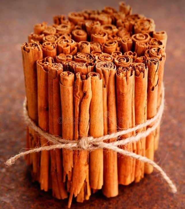 A single hand-rolled Ceylon cinnamon quill in close detail